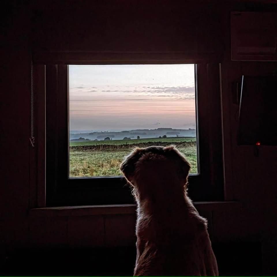Luxury Shepherd Hut In The Peak District Bakewell Luaran gambar